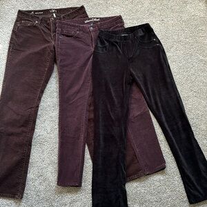 Women’s Corduroy Pants bundle